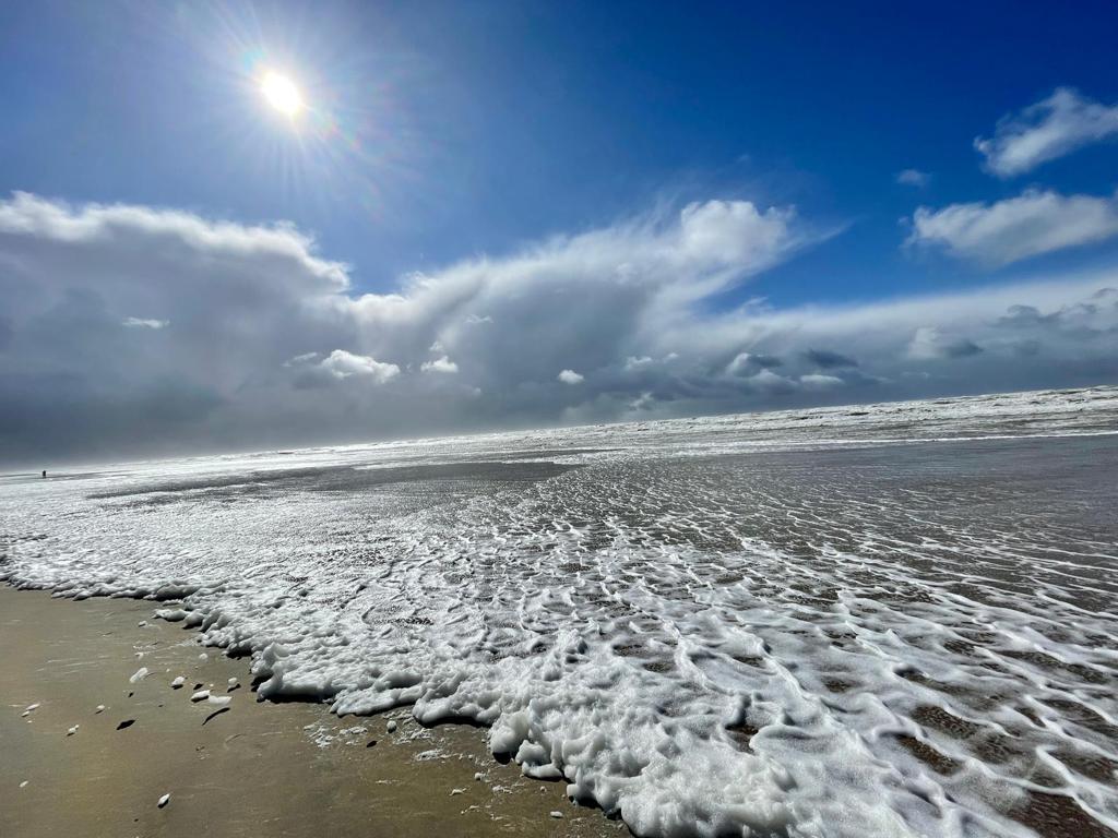 IMG-20210409-WA0002